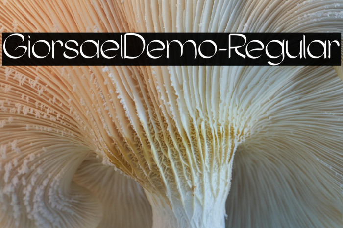GiorsaelDemo-Regular Example 3
