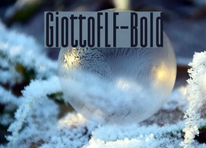 GiottoFLF-Bold Example 1