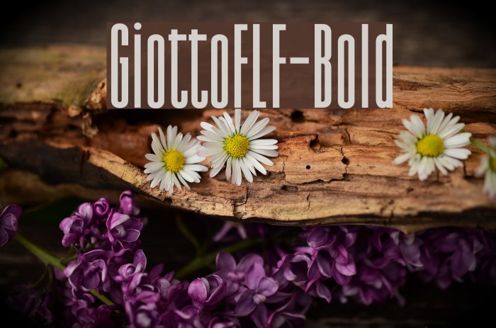 GiottoFLF-Bold Font examples