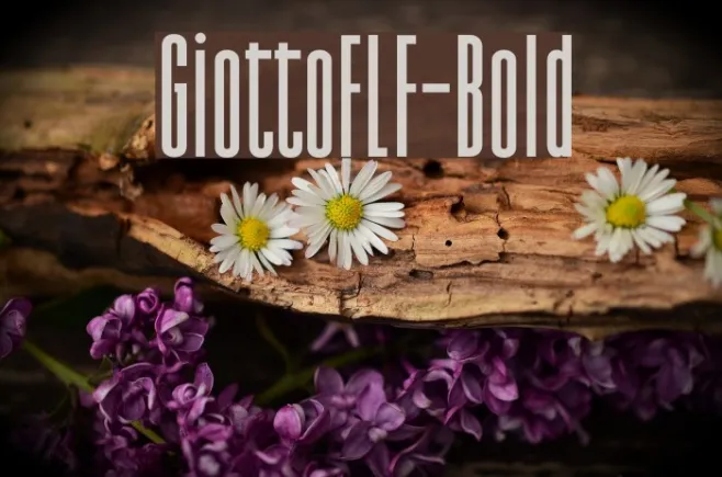 GiottoFLF-Bold Example 2