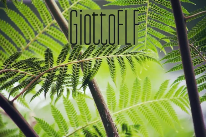 GiottoFLF Example 1