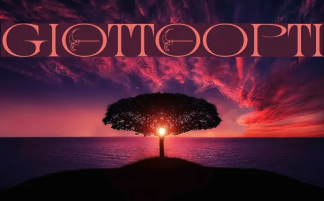 GiottoOpti Example 1
