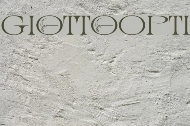 GiottoOpti Example 3