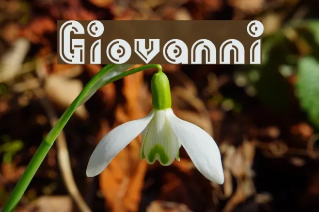Giovanni Example 3