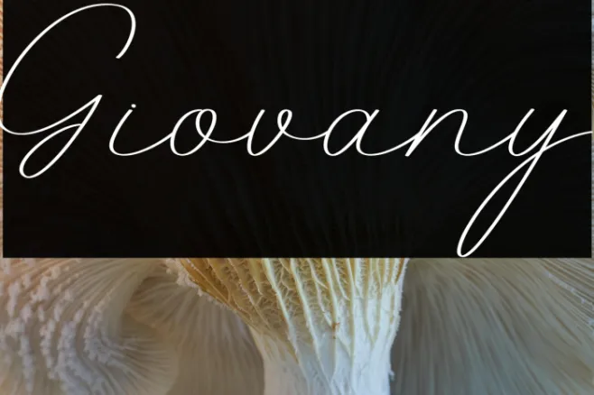 Giovany Example 2