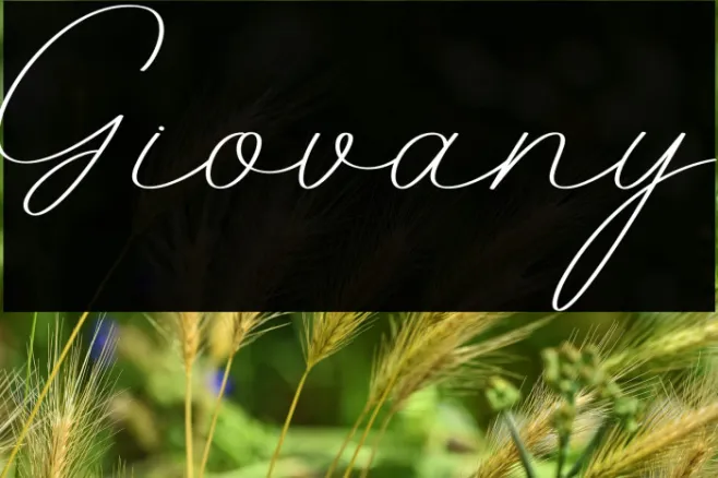 Giovany Example 3