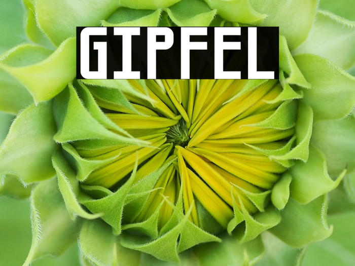Gipfel Example 3