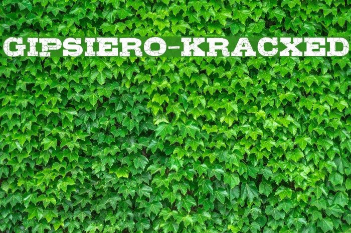 Gipsiero-Kracxed Font examples