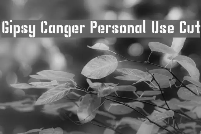 Gipsy Danger Personal Use Cut Font examples