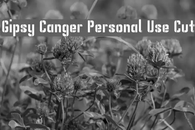 Gipsy Danger Personal Use Cut Font examples