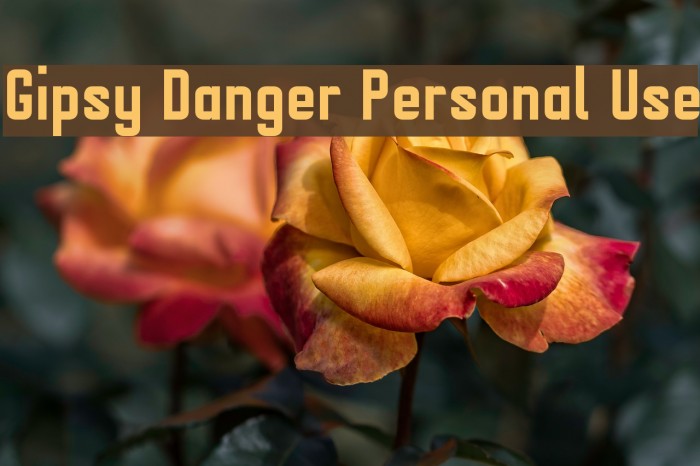 Gipsy Danger Personal Use Font examples