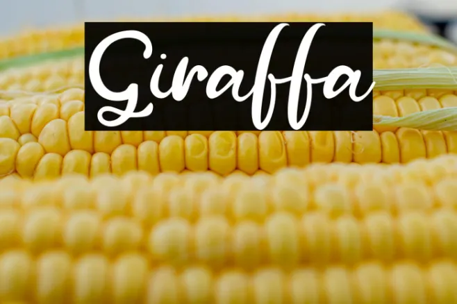 Giraffa Example 1