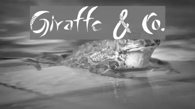 Giraffe & Co. Font examples
