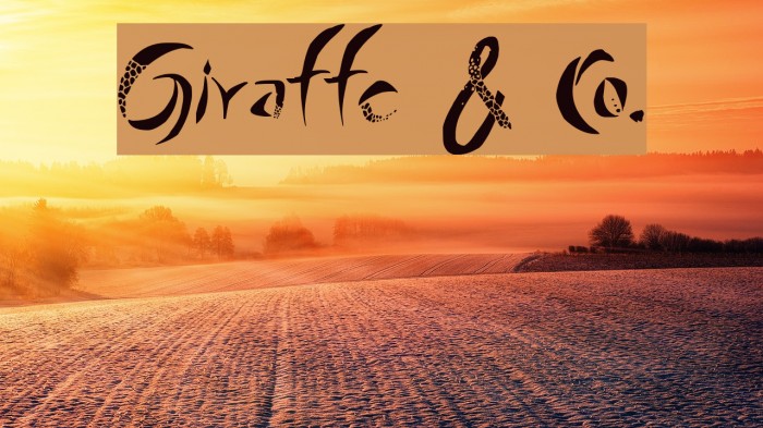 Giraffe & Co. Example 3