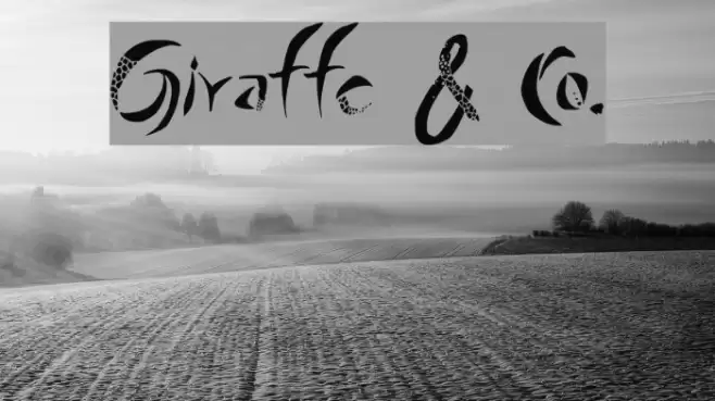 Giraffe & Co. Font examples
