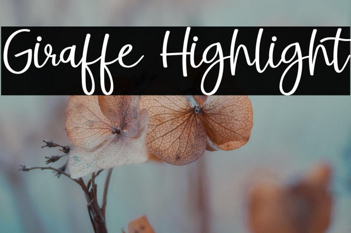 Giraffe Highlight Example 3