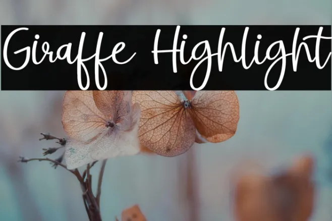 Giraffe Highlight Example 3