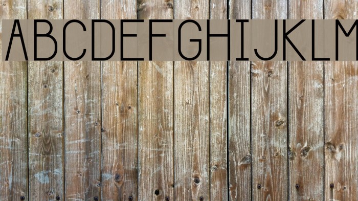 Giraffe Font examples