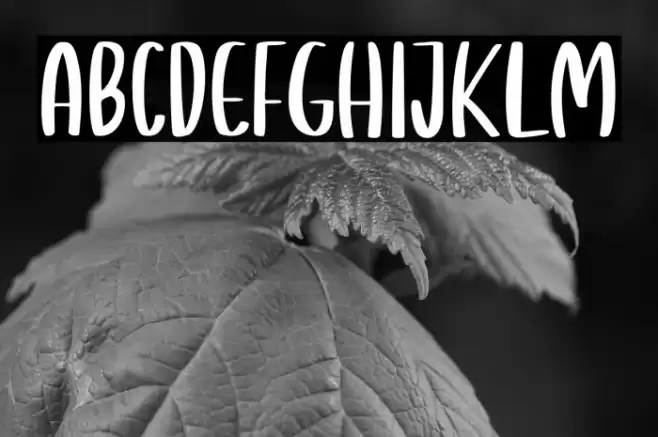 Giraffella Font examples