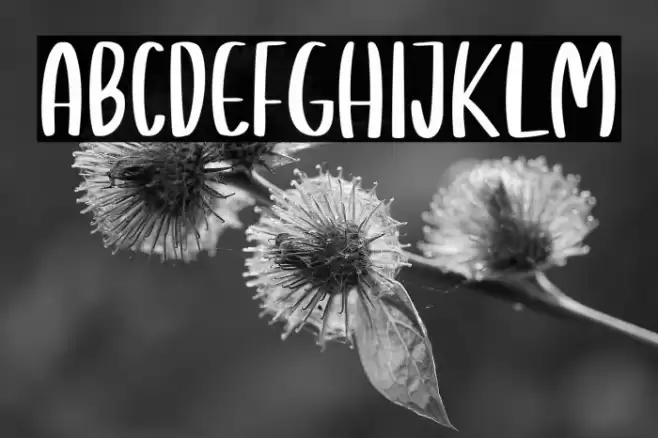 Giraffella Font examples