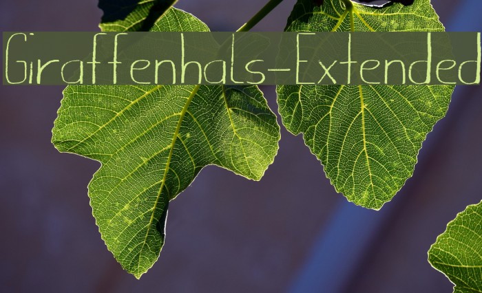 Giraffenhals-Extended Polices examples