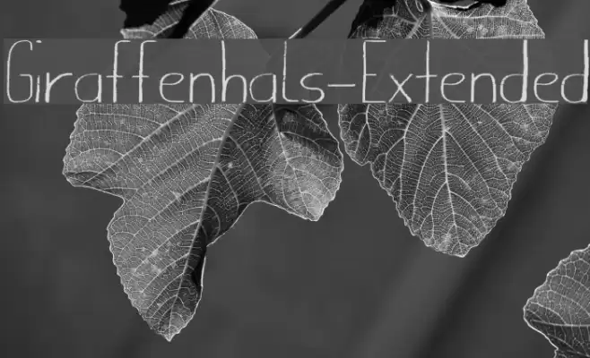 Giraffenhals-Extended Caratteri examples