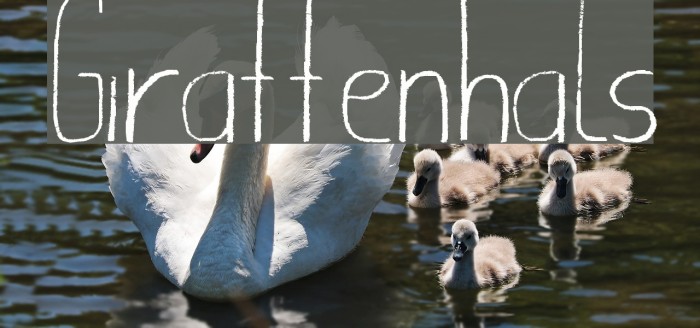 Giraffenhals Font examples