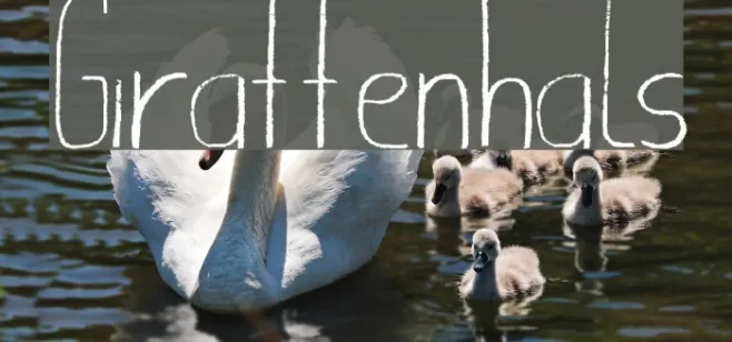 Giraffenhals Example 3