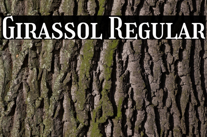 Girassol Regular Example 1