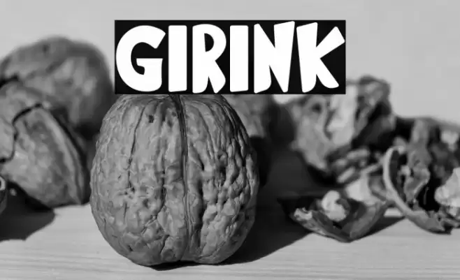 Girink フォント examples