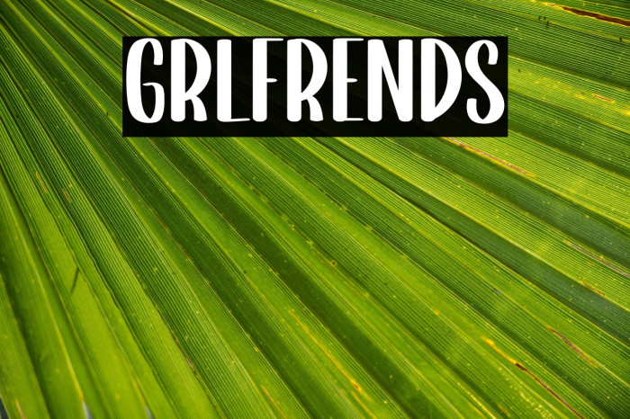 Girlfriends Example 2