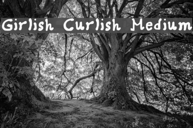 Girlish Curlish Medium Font examples