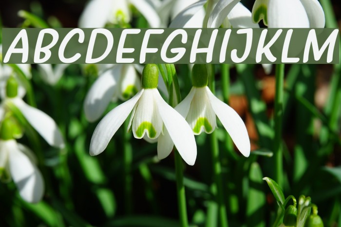 Girls Marks Italic Font examples