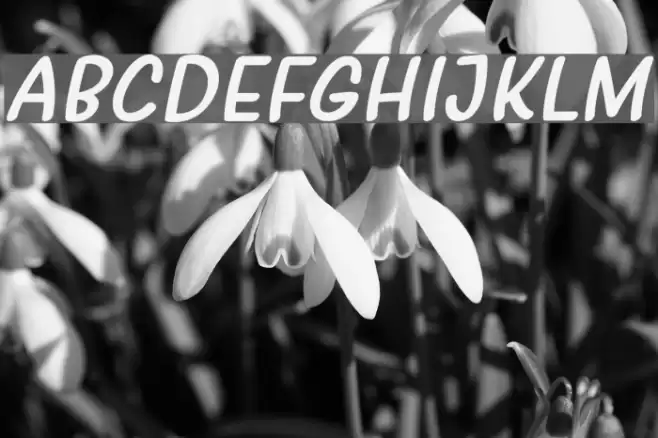 Girls Marks Italic Font examples