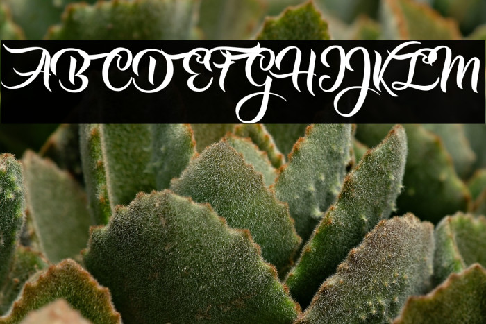 Girls got Rhythm Personal Use  Example 2