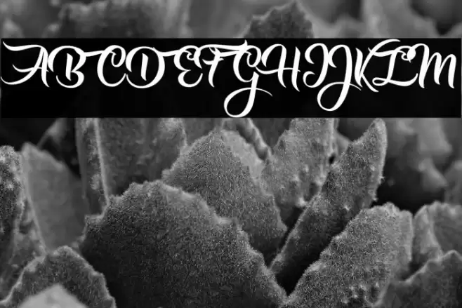 Girls got Rhythm Personal Use  Font examples