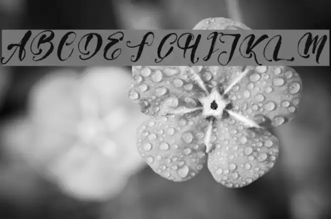 GirlyThingsDemoVersion フォント examples