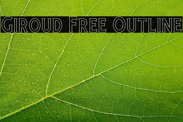 Giroud Free Outline Example 2