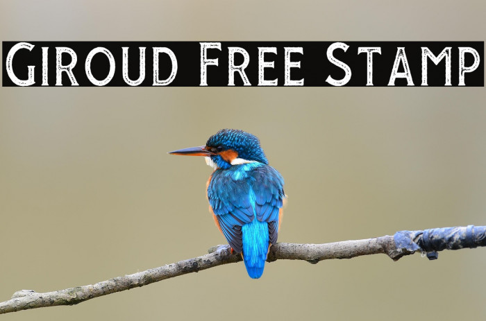 Giroud Free Stamp Example 3