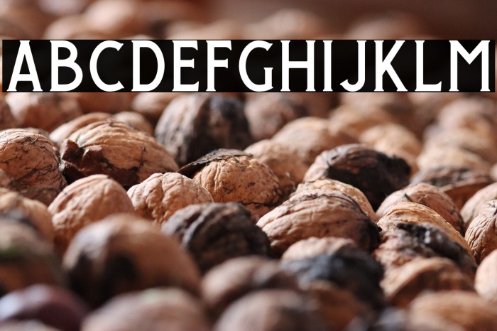 GiroudFree-Regular Example 1