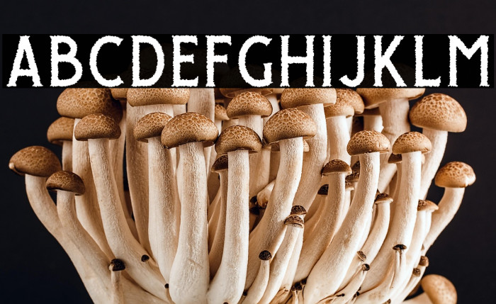 GiroudFree-Rough Example 2