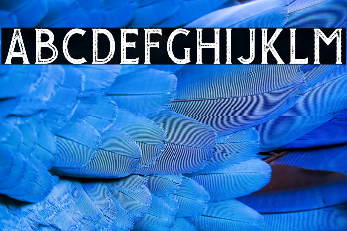 GiroudFree-Stamp Example 1