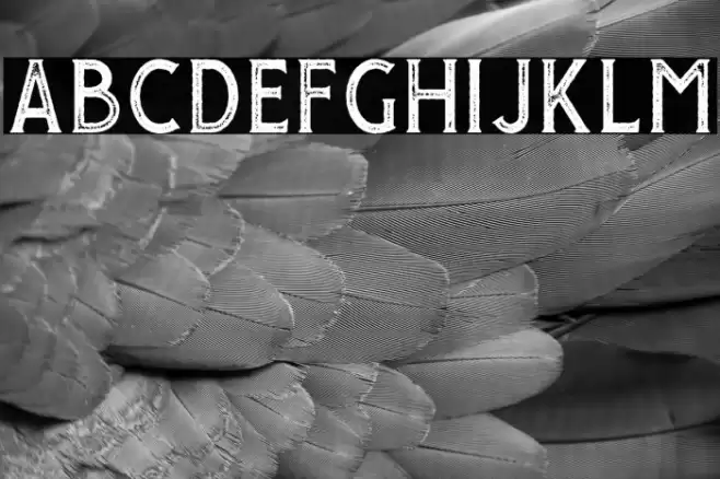 GiroudFree-Stamp Font examples