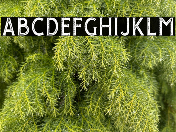 GiroudFree-Stamp Example 3