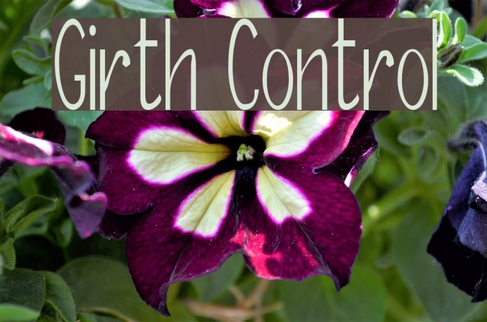Girth Control Font examples
