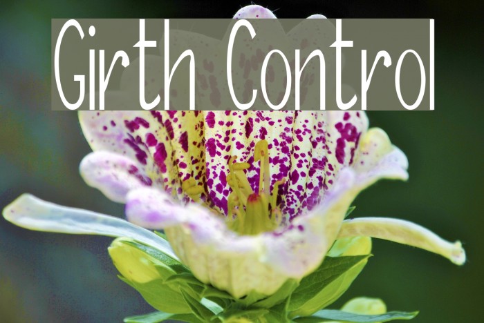 Girth Control Font examples