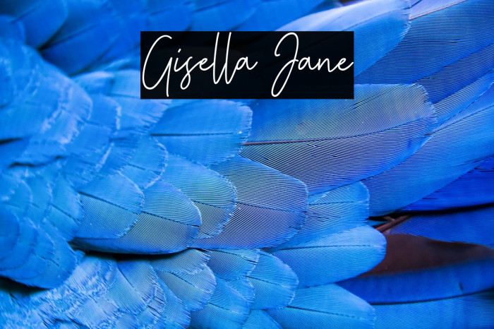 Gisella Jane Example 2