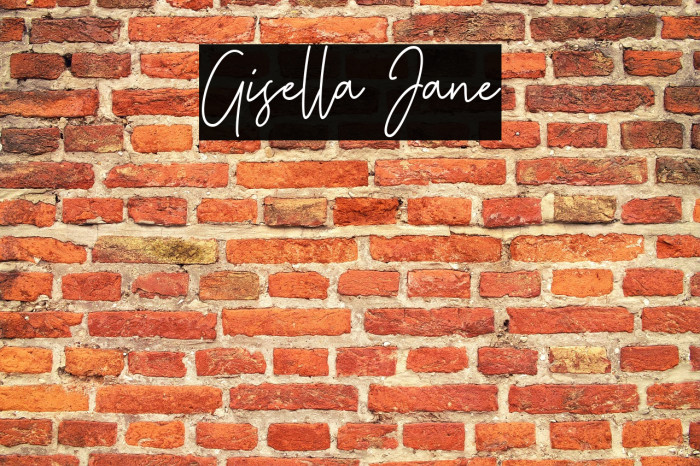 Gisella Jane Example 3