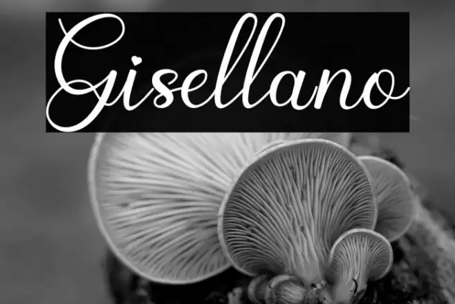 Gisellano Font examples
