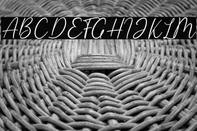 Giselle Font examples